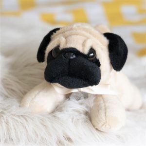 Perry The Personalised Pug